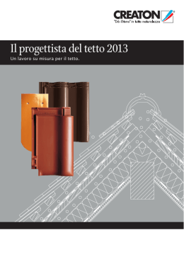 Il progettista del tetto 2013