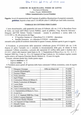 verbale lavori pubblica illuminazione