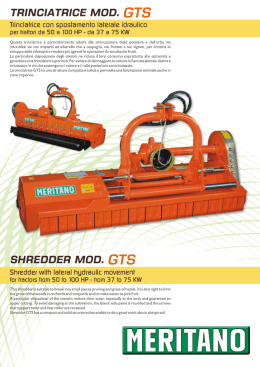 Modello GTS