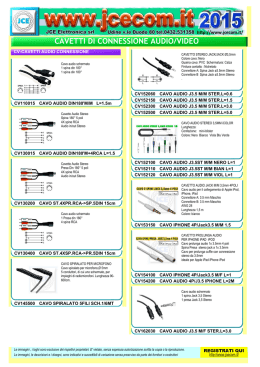 CAVETTI DI CONNESSIONE AUDIO/VIDEO