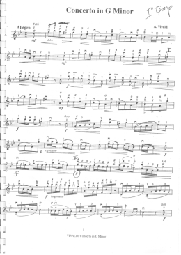 Vivaldi Concerto in sol minore