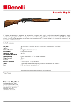 IBenelli