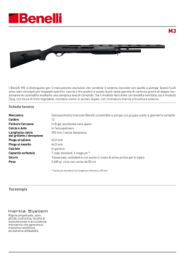 IBenelli
