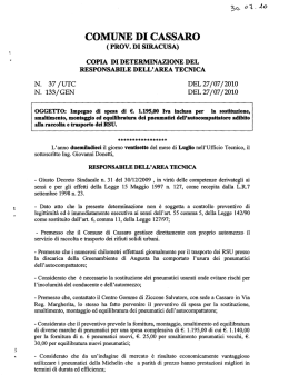 determina n133 - Comune di Cassaro