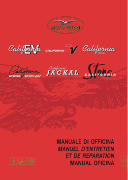 Untitled - Anima Guzzista