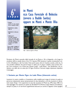 DA Monti ALLA Casa Forestale di Bolostiu (ovvero a Badde Suelzu