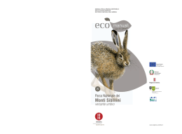 Monti Sibillini - Regione Umbria
