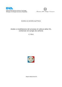 Analisi e modellazione del processo di cattura della CO2