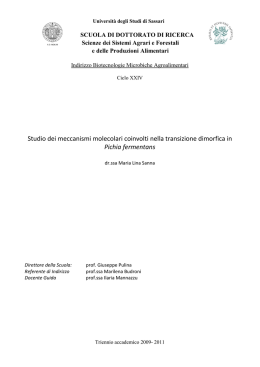 Studio dei meccanismi molecolari coinvolti nella transizione