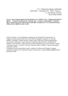 Osservazioni in formato PDF