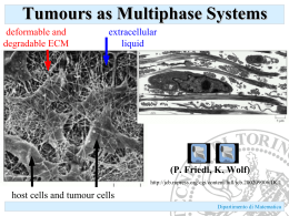 Tumours as Multiphase Systems - Dipartimento di Matematica e Fisica