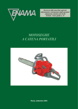 MOTOSEGHE A CATENA PORTATILI