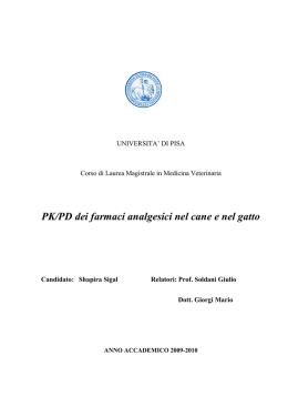tesi 2003
