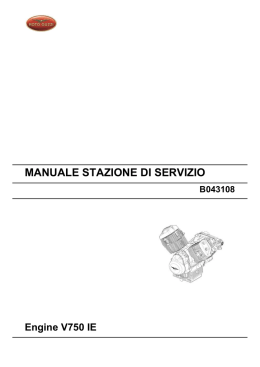 MANUALE STAZIONE DI SERVIZIO Engine V750 IE
