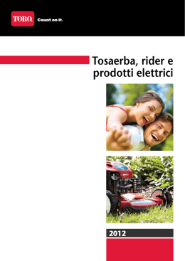 Tosaerba, rider e prodotti elettrici