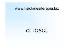 CITOSOL - Fisiokinesiterapia
