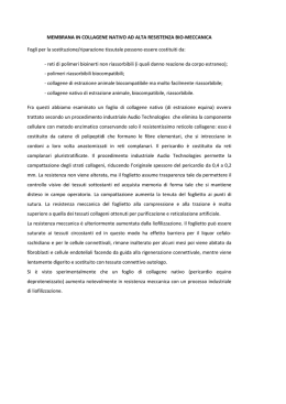MEMBRANA IN COLLAGENE NATIVO AD ALTA