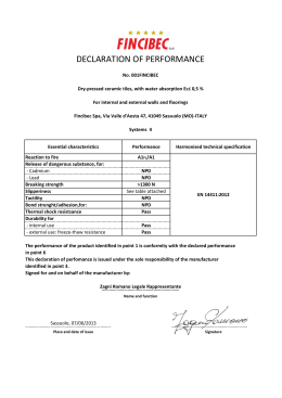 DECLARATION OF PERFORMANCE