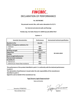 DECLARATION OF PERFORMANCE