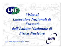 Le attività dei Laboratori Nazionali di Frascati