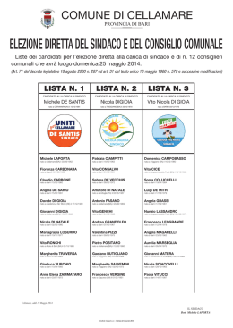 manifesto liste elezioni comunali 2014