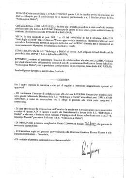 Testo della delibera n. 127
