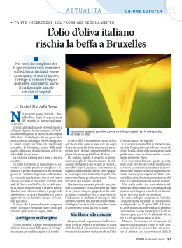 L`olio d`oliva italiano rischia la beffa a Bruxelles