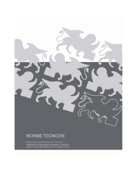 Norme tecniche (art. 31