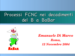 Processi FCNC nei decadimenti del B a BaBar