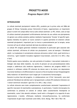 Vedi Progress report - Fondazione Camillo Golgi