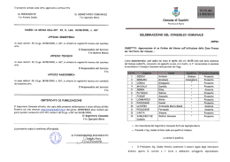 Delibera n. 14 - Zona Franca Sardegna
