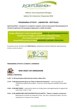 NEW CRAZY LIFE ANIMAZIONE