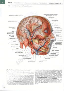 pagine di esempio - Libreria Universo