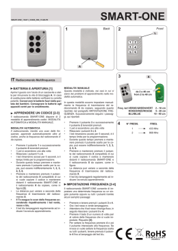 smart-one_130411_vxx06-rid_it-gb-fr