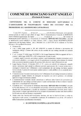 schema convenzione modificato