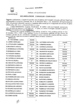 Deliberazione del Consiglio Comunale N°43