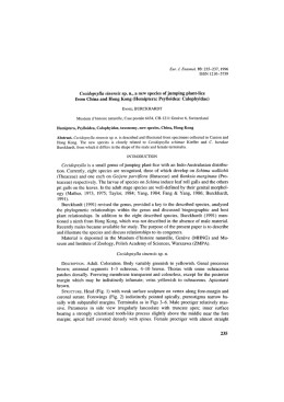 Cecidopsylla sinensis sp. n., a new species of jumping plant