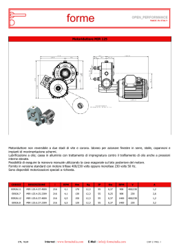 Motoriduttore MIR 125 Motoriduttore non reversibile a due stadi di