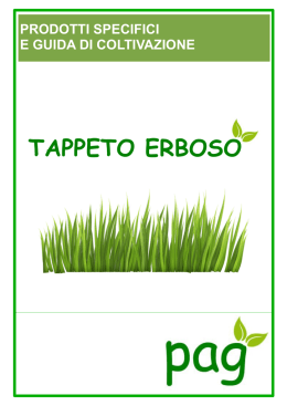 TAPPETO ERBOSO - Pierucci Agricoltura Srl