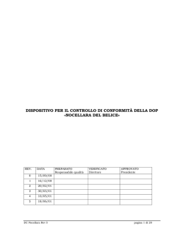 Dispositivo di controllo rev.05 del 18/06/01