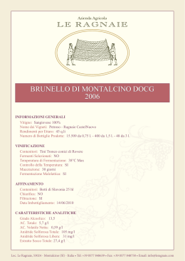 BRUNELLO DI MONTALCINO DOCG 2006