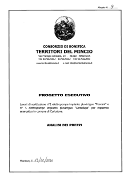 Analisi prezzi - Consorzio Territori del Mincio