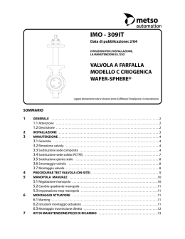IMO - 309IT