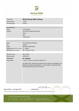b / non-b Blood Group DNA Testing