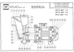Page 1 ELETTROPOMPE AUTOADESCANTI SELF PRIMING