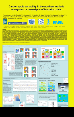 Carbon cycle variability in the northern Adriatic