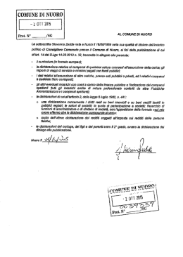 Scarica (pdf - 3689KB)