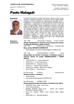 Curriculum in stile professionale