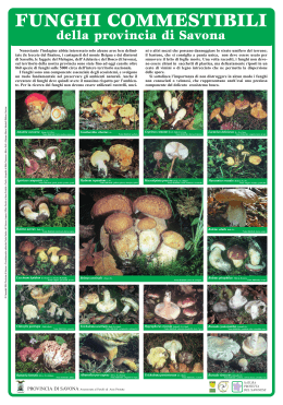 Funghi commestibili - Provincia di Savona