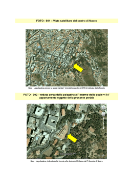 FOTO - 001 – Vista satellitare del centro di Nuoro